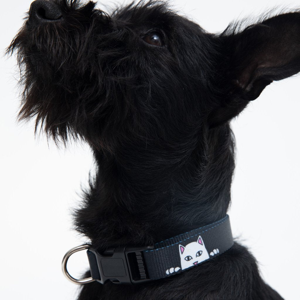 Rip N Dip Peek A Nerm Web Belt Pet Collar - Black