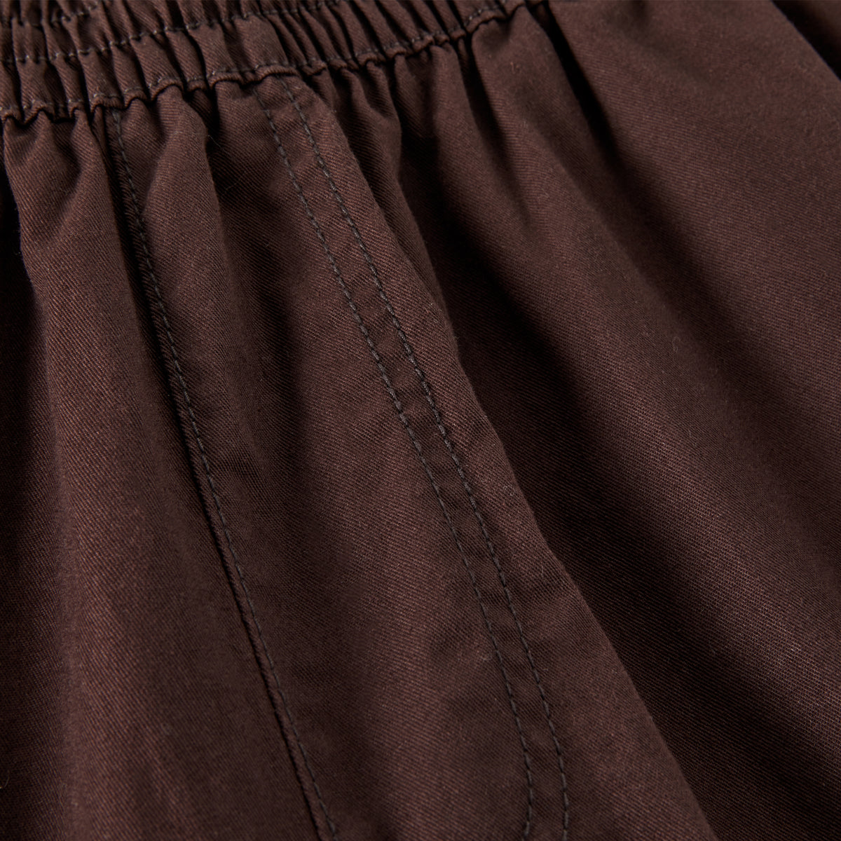 Polar Skate Co. Surf Pants (2021) - Brown
