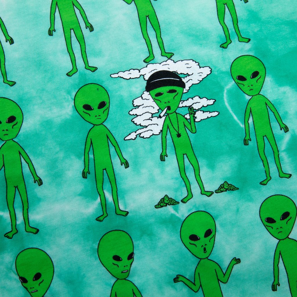 Rip N Dip Stoned Again T-Shirt - Green Acid Wash